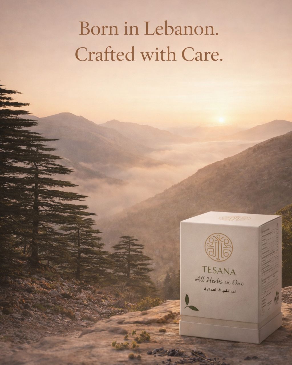 Tesana benefits hero slide 15